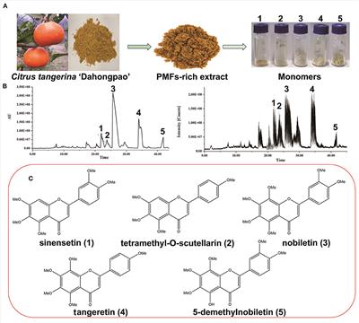 Comparative effects of five polymethoxyflavones purified from Citrus tangerina on inflammation and cancer